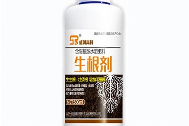 种南瓜的方法和技术