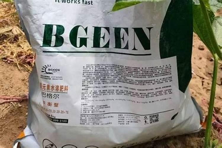 柑橘果实膨大期追肥:磷钾肥增甜膨大调色师着色靓果