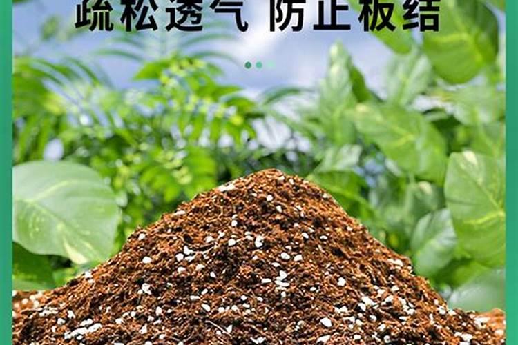 水溶复合肥在西瓜什么阶段使用？