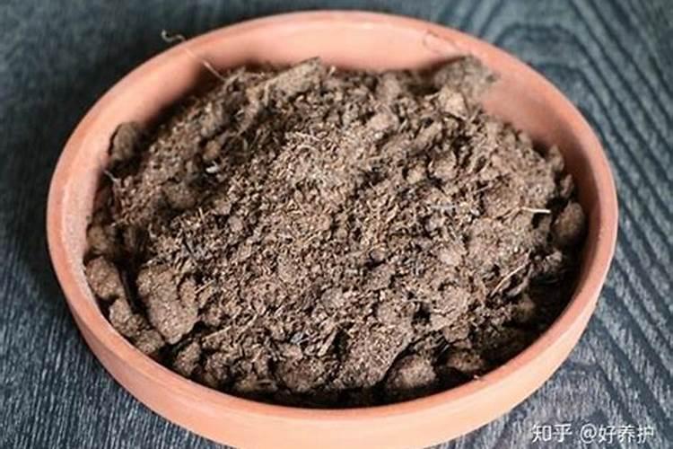 怎么挑选水溶肥,提高西瓜苗的成活率？