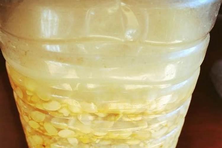 黄豆肥料制作方法