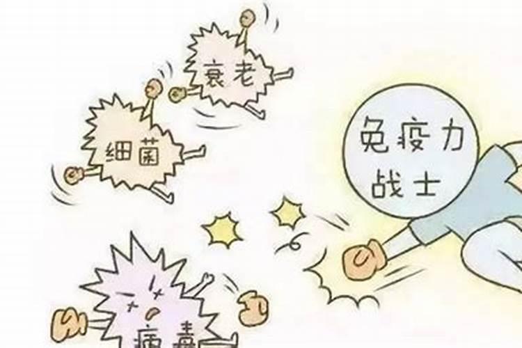 日本白雪茸功效作用,是交智商税么？食用后的副作用有哪些