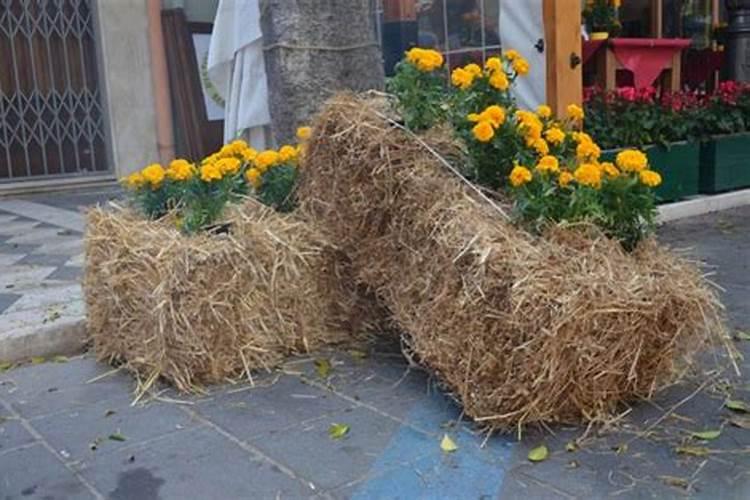 小麦秸秆的市场价格是多少钱一吨