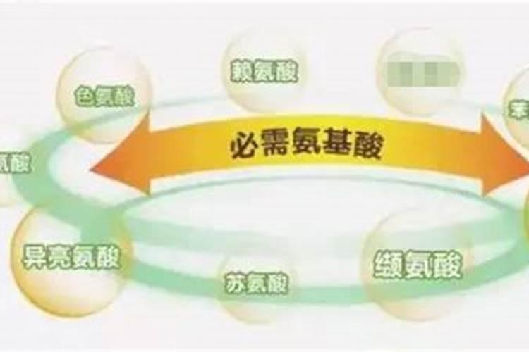 氨基酸冲施肥冲黄瓜行吗