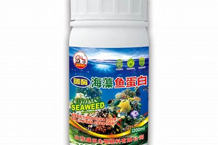 临沂海产品市场在哪里