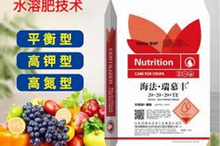 以色列的鸽子粪是什么意思