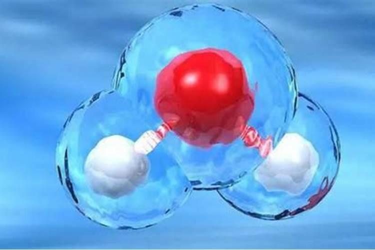 卧室适合养什么植物