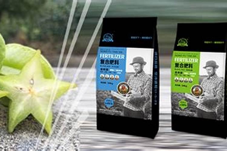 杨桃在开花期能施肥吗