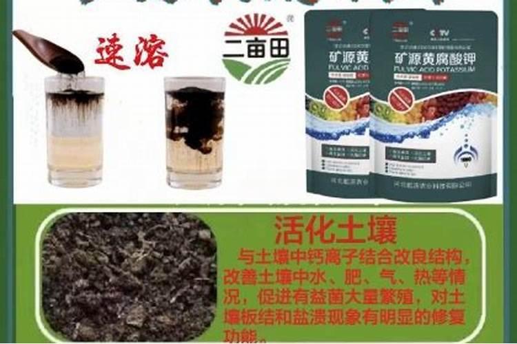 137亿元!国内第二大钾肥企业将易主