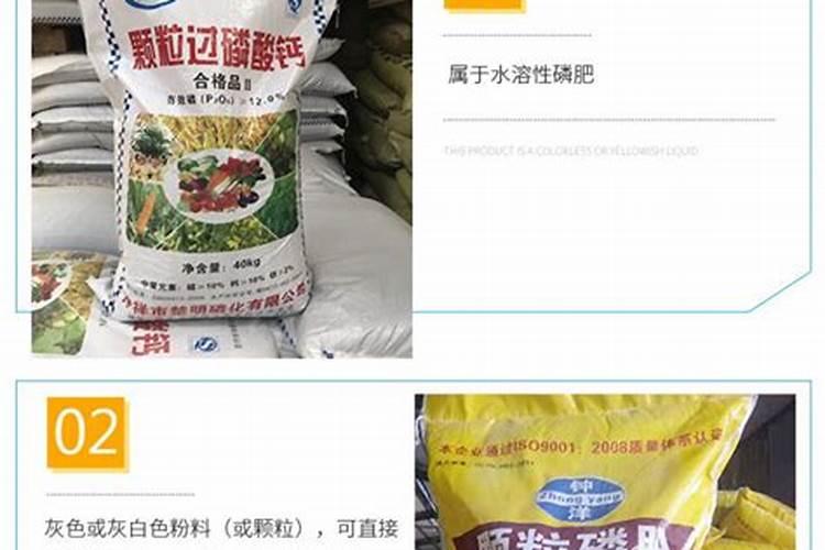 中药材地黄一次冲施多少肥料合适？地黄壮根叶面肥厂家哪家好？