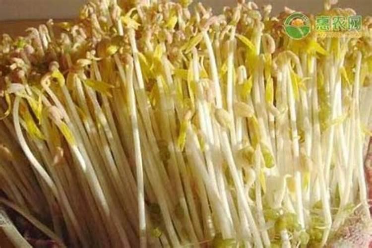 种植黄豆需要什么条件