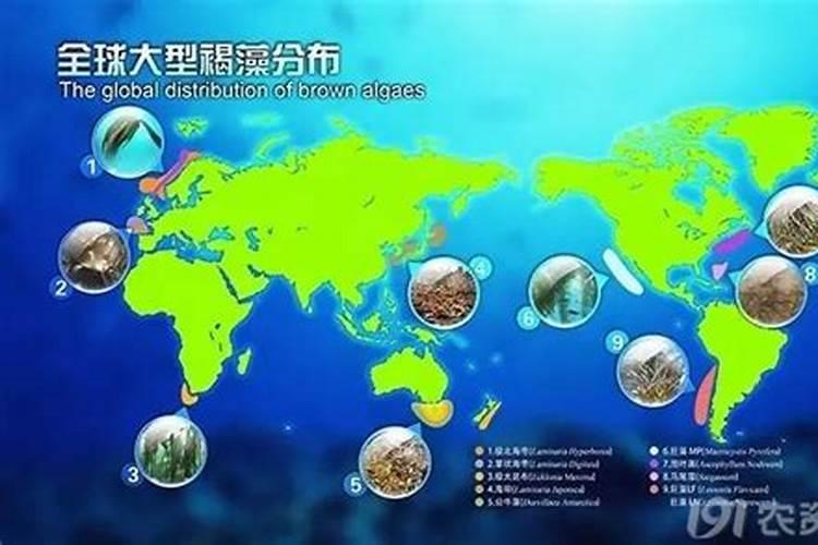 为什么百香果的叶子变黄接着叶子就掉了？