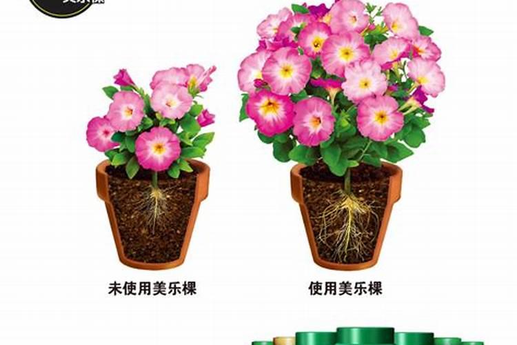 控释肥养花怎么用