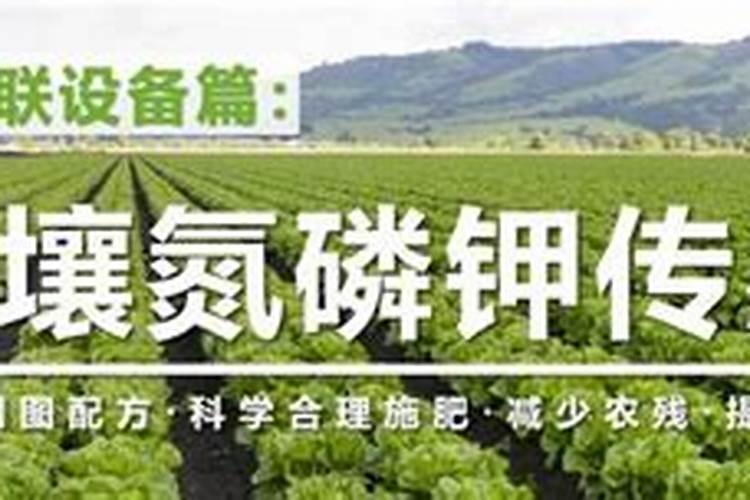 化肥的主要成分 如何鉴别