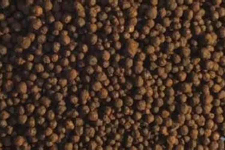 洋葱能用含碌的化肥吗？