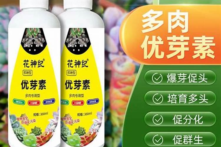 中微量元素肥料正确使用方法