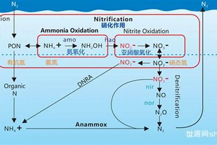 雷雨发庄稼 反应原理