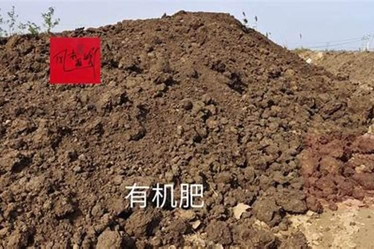 含氨基酸水溶肥料铃串串适合什么作物