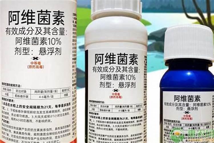 常见的水稻病虫害及其防治措施有哪些？