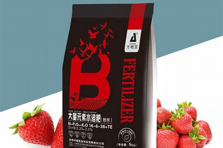 草莓施肥用什么肥料