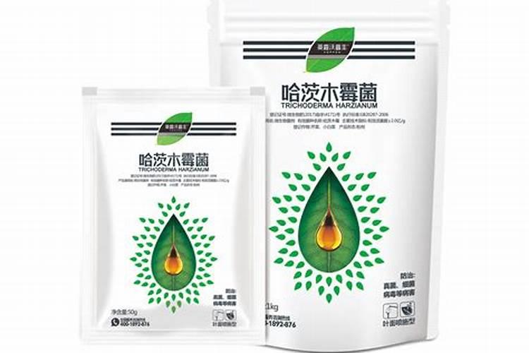 哈茨木霉菌能打白菜吗