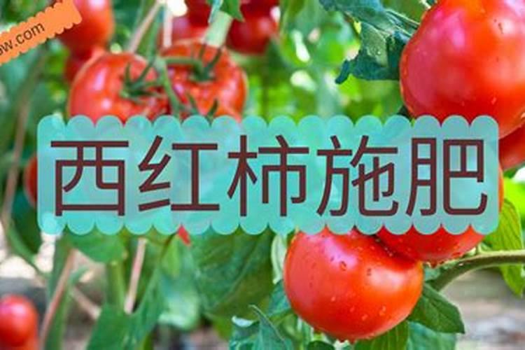 化肥怎么提取硝酸