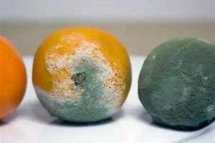 烂橘子怎么变成ea了