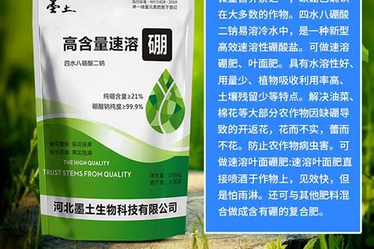 叶面喷施硼肥的最佳时间硼肥应该怎么用