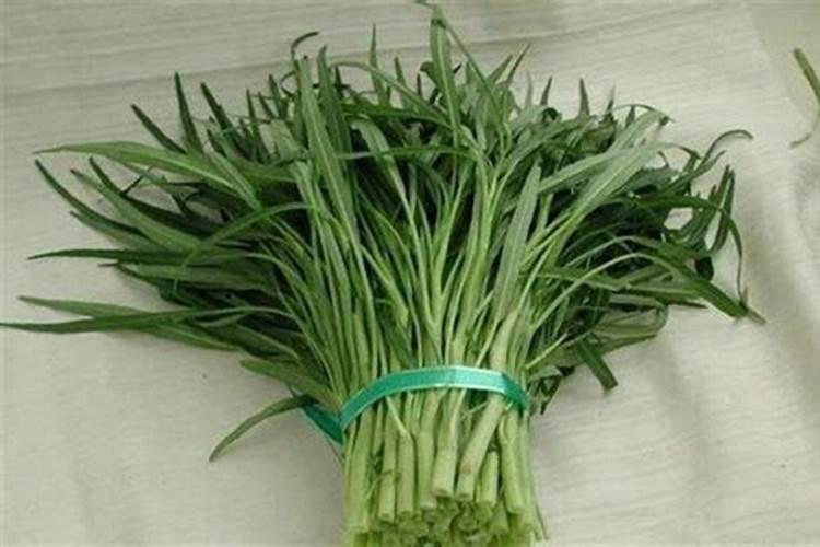 空心菜施什么肥长得快又嫩