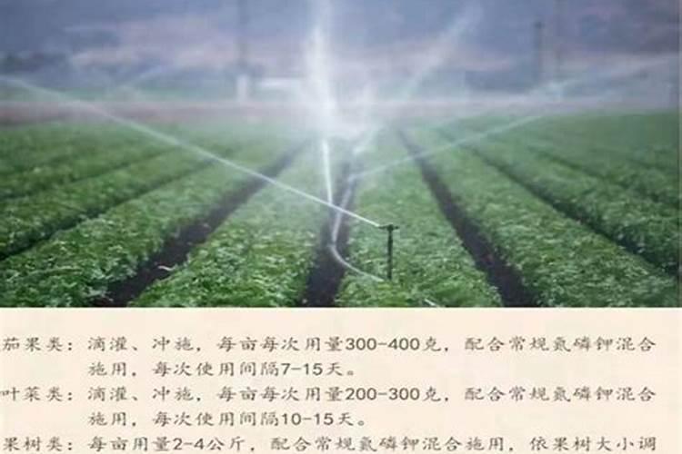 钾肥可以用来种菜吗