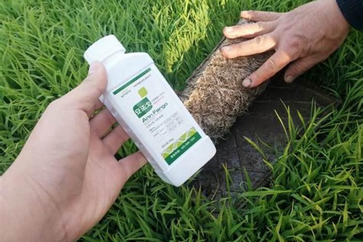 水溶肥溶于水后能放多久