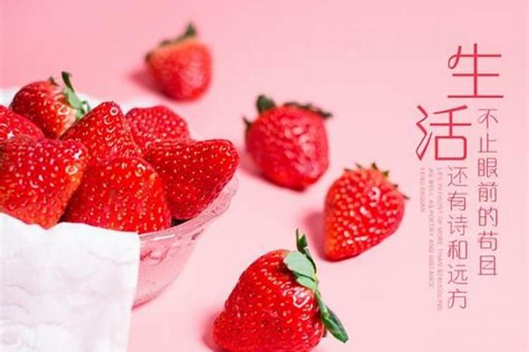 ...草莓需要补钙吗需要不需要 草莓缺钙怎么办用什么补钙最好