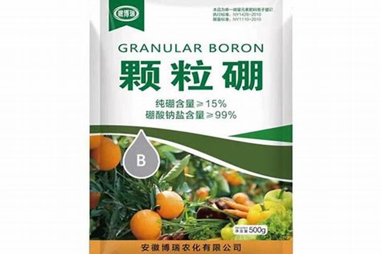 李子什么时间喷磷酸二氢钾和硼肥最好？