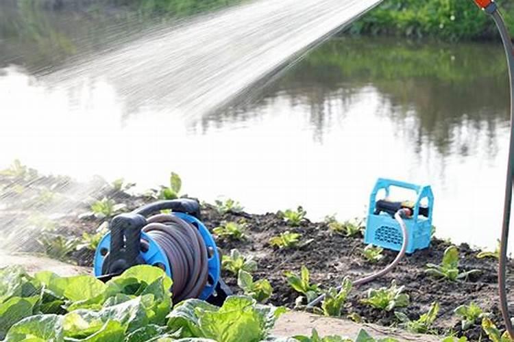 简易水肥一体化具体操作流程,成本不足500元