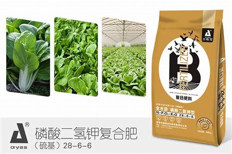 氮肥、磷肥、钾肥各是适用哪些状况的植物？