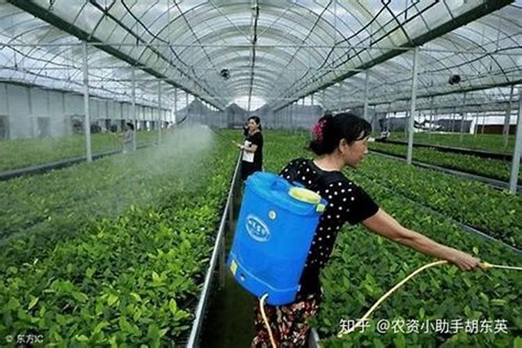 国内氨基酸水溶肥生产厂家有哪些？