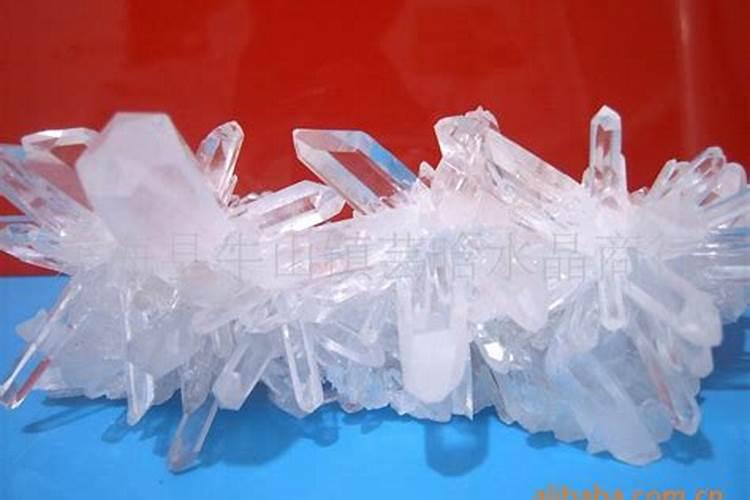 安康鱼体内的白色颗粒物是什么？