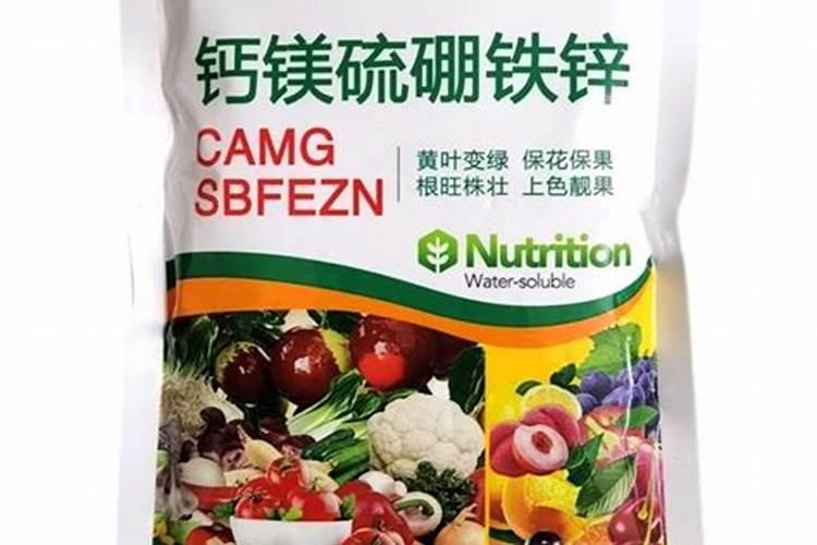 柿子树什么时候喷施钙镁硼锌铁叶面肥？