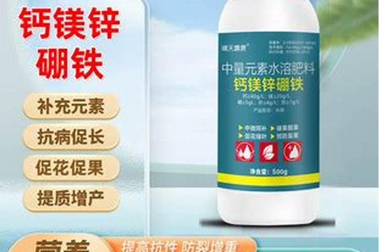 避免柑橘出现不正常的落果,应该怎么做呢？