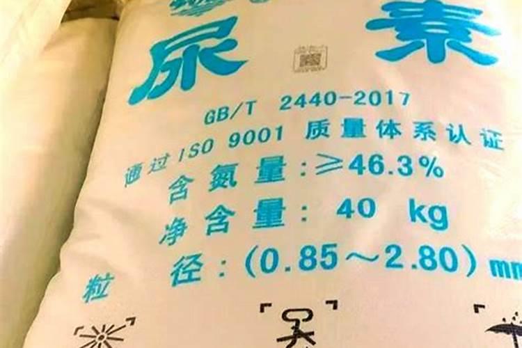 树根腐烂怎么办？