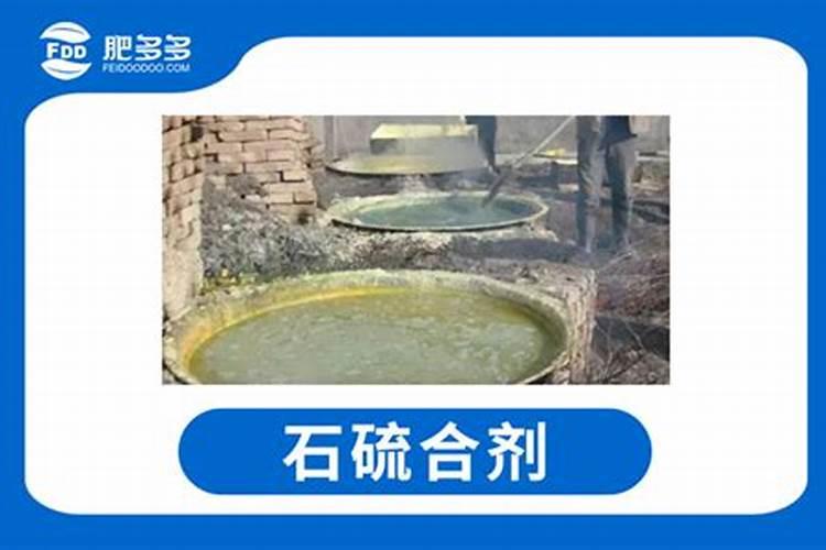 柑橘裂果是什么原因？如何预防？稼乐夫告诉你