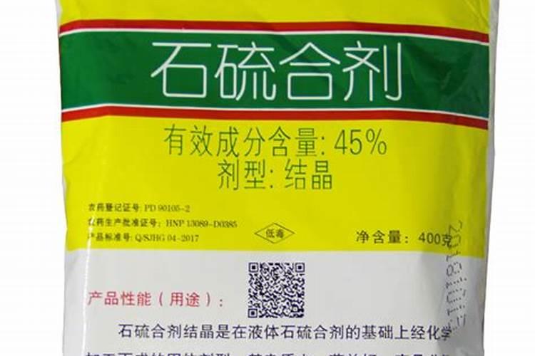 月季全年养护合集(新手种月季推荐)