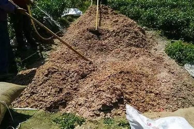 种红薯可用茶麸做底肥吗