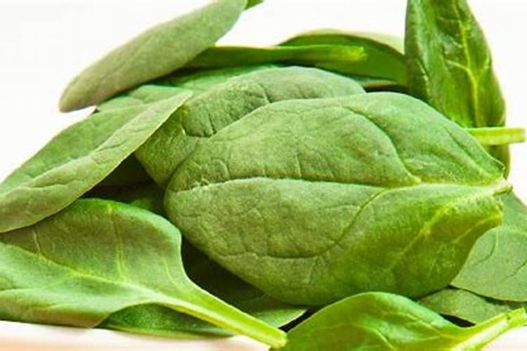 鱼和菠菜能同时一起吃吗