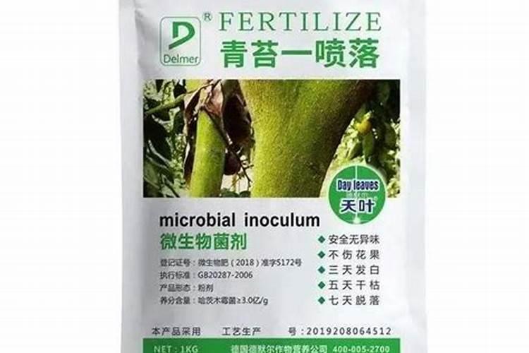 荔枝树树干得了这样的病？树干上很多的这样绿色的斑,有些像苔藓。老...