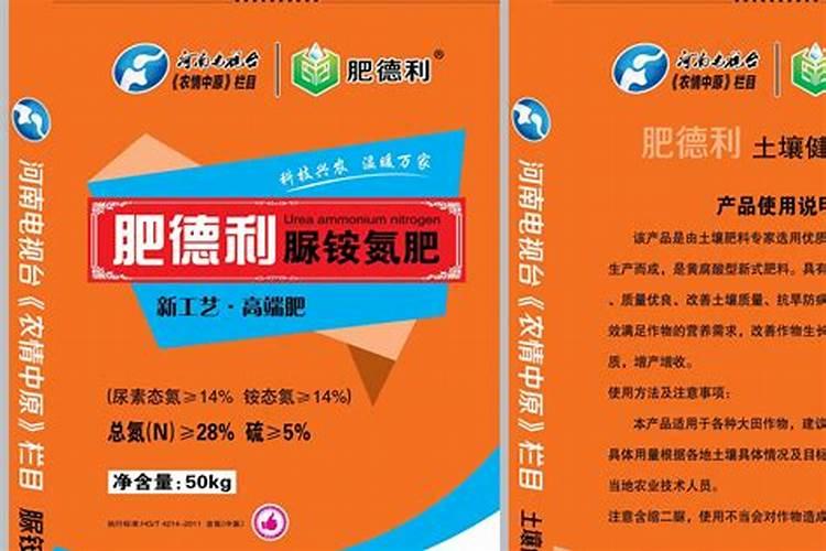 蒿子港镇的经济发展