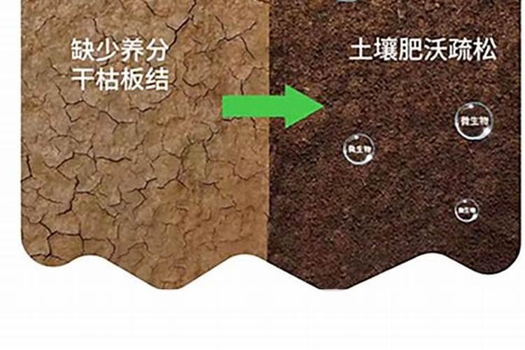 氮肥养花使用方法