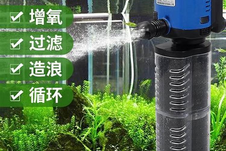 水培植物如何施肥？