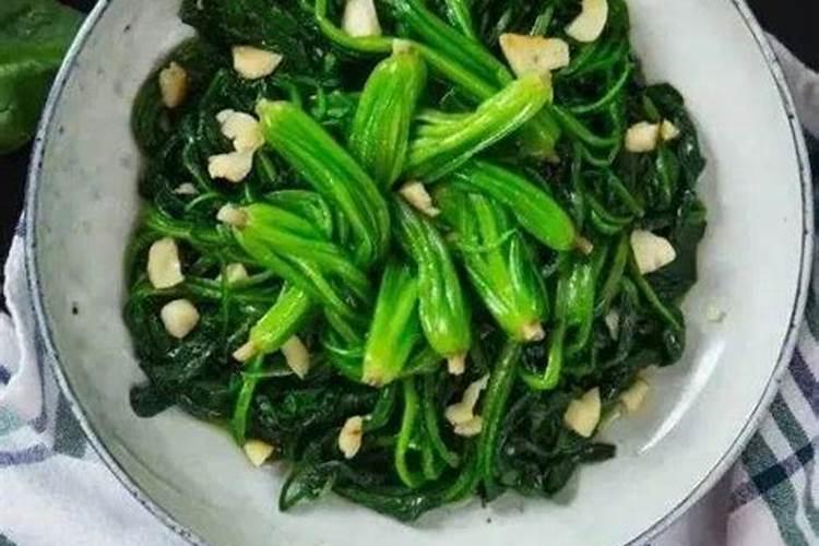 发芽葱的种植方法