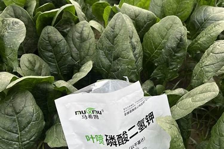 如何让作物长的好,长的健康,长的漂亮